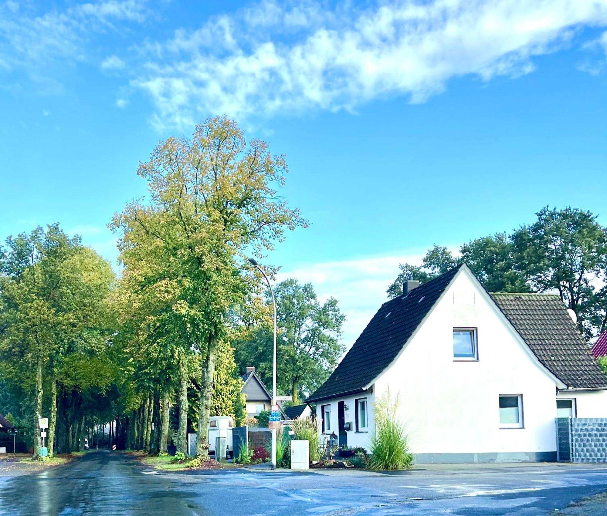 Allee Zum See Schuettorf Dış mekan fotoğraf